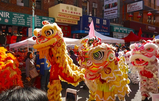 North Beach Week: San Francisco Plunge, Chinese New Year Festival & Parade, More