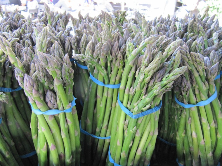 North Beach Farmers Market Starts Petition; Community Meeting Coming Tuesday