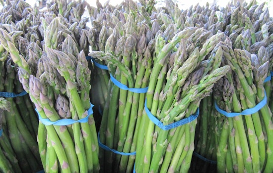 North Beach Farmers Market Starts Petition; Community Meeting Coming Tuesday