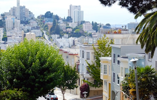 North Beach Week: Sword Swallower's Day, A Secret Sushi Menu, Orchid Exposition, More