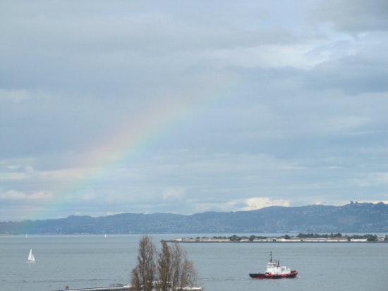 Port Asks Public For Online Votes To Help With Seawall Funding Quandary