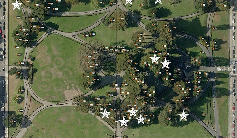 Roughly A Dozen Trees Are Slated For Removal From Alamo Square