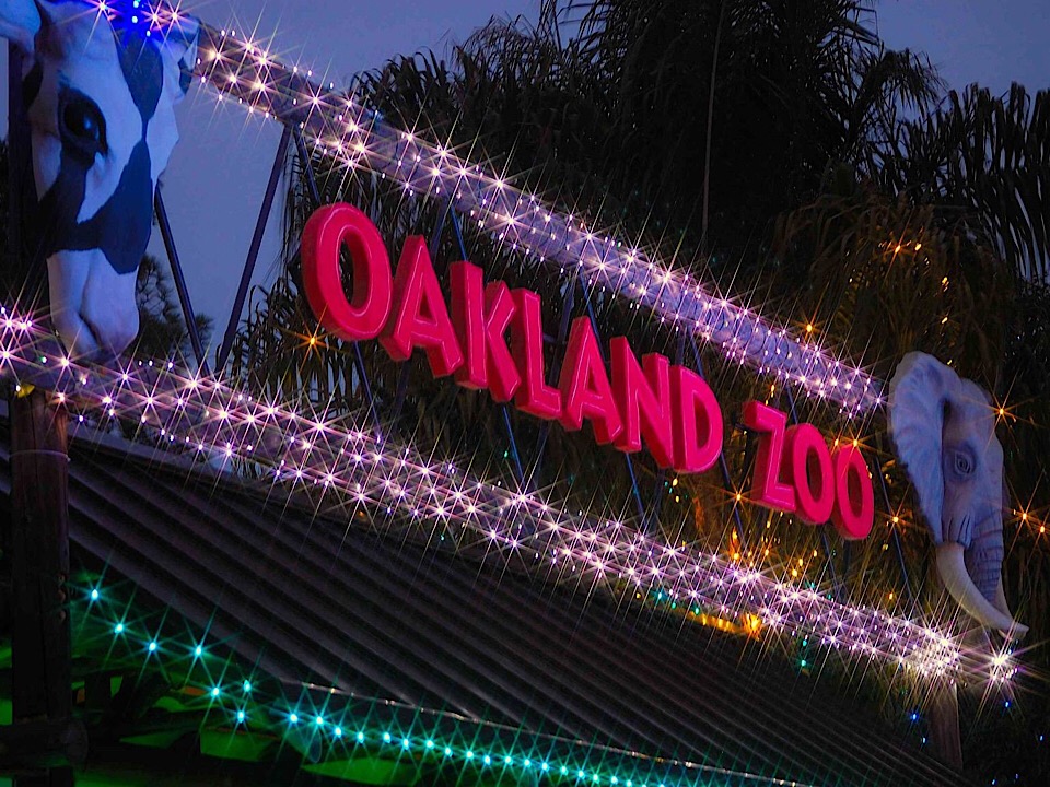 Oakland weekend Lights at the Zoo, a holiday play, and a Victorian