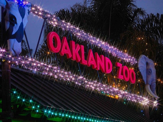 Oakland weekend: Lights at the Zoo, a holiday play, and a Victorian Christmas history tour
