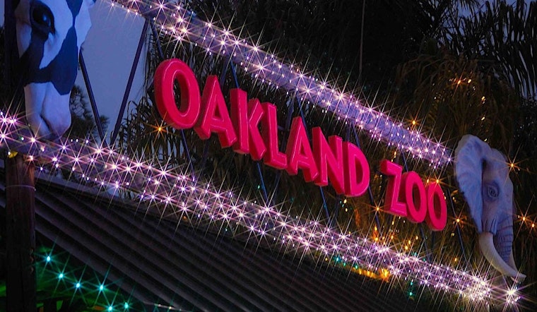 Oakland weekend: Lights at the Zoo, a holiday play, and a Victorian Christmas history tour