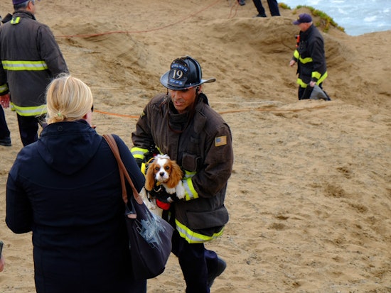 Scenes From A Cliffside Dog Rescue At Fort Funston