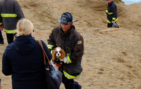 Scenes From A Cliffside Dog Rescue At Fort Funston