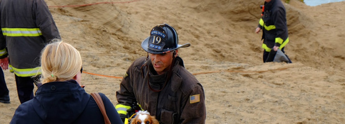 Scenes From A Cliffside Dog Rescue At Fort Funston