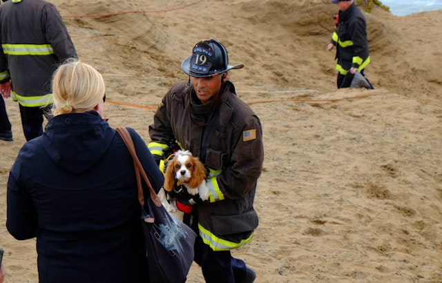 Scenes From A Cliffside Dog Rescue At Fort Funston