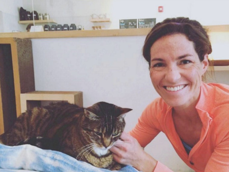 Turbo, KitTea’s Super Bowl Psychic Cat, Finally Finds A Home