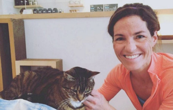 Turbo, KitTea’s Super Bowl Psychic Cat, Finally Finds A Home