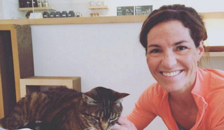 Turbo, KitTea’s Super Bowl Psychic Cat, Finally Finds A Home
