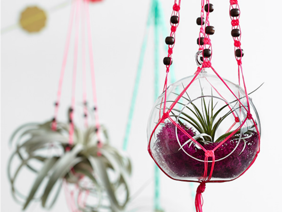 Event Spotlight: Revisit The '70s With A Macramé And Terrarium Workshop