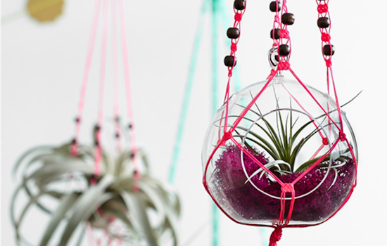 Event Spotlight: Revisit The '70s With A Macramé And Terrarium Workshop