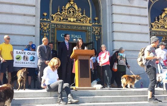 Supervisors Oppose Dog Access Restrictions For SF's Beaches