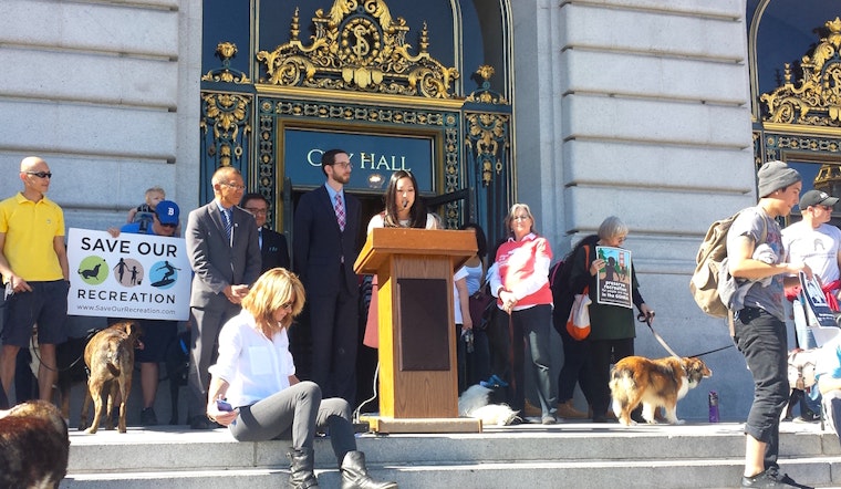 Supervisors Oppose Dog Access Restrictions For SF's Beaches