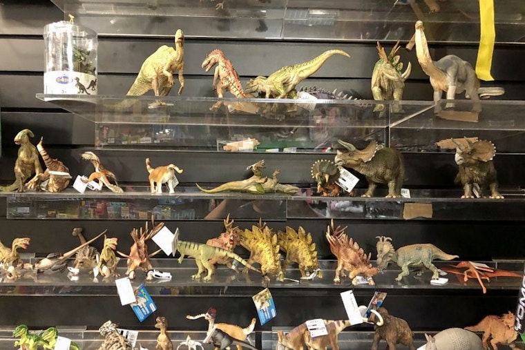The top 3 toy stores in Dallas, ranked