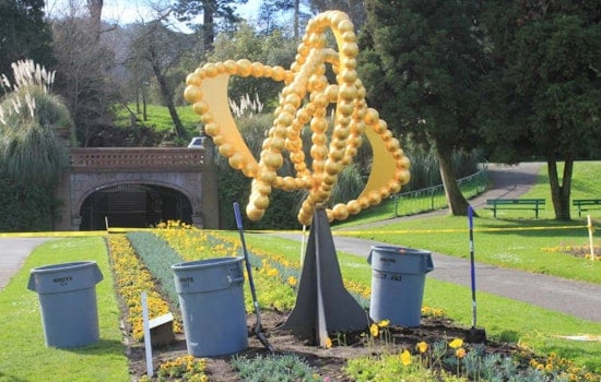 Conservatory Of Flowers' 'La Rose Des Vents' Removed For Restoration After 6 Months