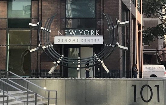 3 free science events worth seeking out in New York City this week
