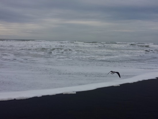 Man In Distress Rescued From Ocean Beach At Noriega Last Night