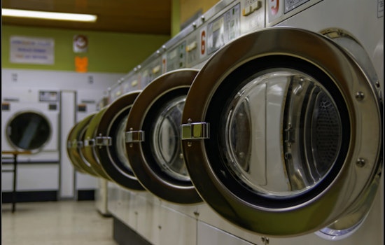 Business trends in NYC: Real estate agents expand ranks; laundry services ebb