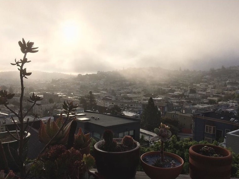 Castro Week: Whipping Girl, Honey Mahogany Reads To Kids, Castro CBD Party, More