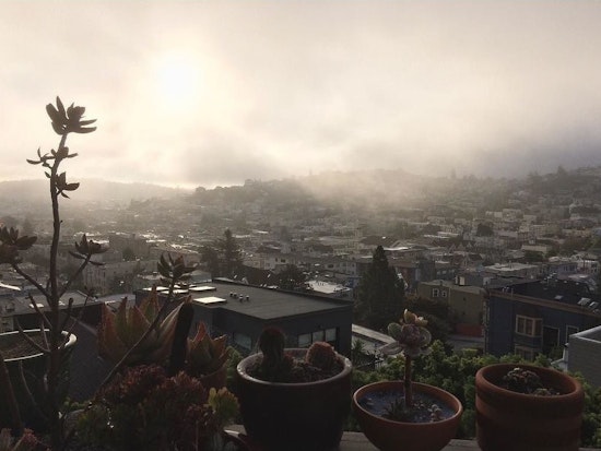 Castro Week: Whipping Girl, Honey Mahogany Reads To Kids, Castro CBD Party, More