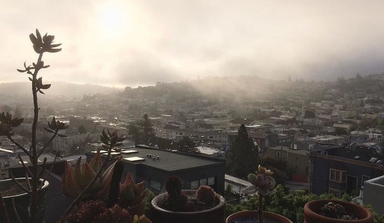 Castro Week: Whipping Girl, Honey Mahogany Reads To Kids, Castro CBD Party, More