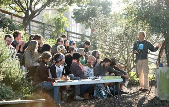 Inner Sunset Week: Grow Your Own Food, Sanfranpsycho Launch Party, Drought Gardening, More