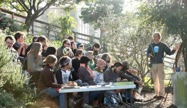 Inner Sunset Week: Grow Your Own Food, Sanfranpsycho Launch Party, Drought Gardening, More