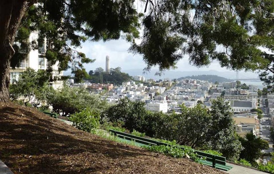 Great Explorations: Ina Coolbrith Park