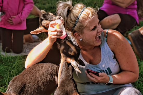 5 ways to make the most of your week in Denver