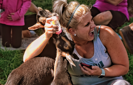 5 ways to make the most of your week in Denver