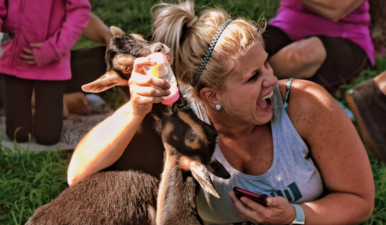 5 ways to make the most of your week in Denver