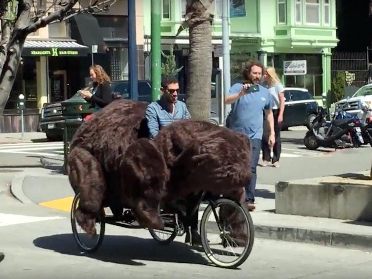 Video: Bear Tricycle Causes Grizzly Scene In Hayes Valley