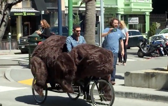 Video: Bear Tricycle Causes Grizzly Scene In Hayes Valley