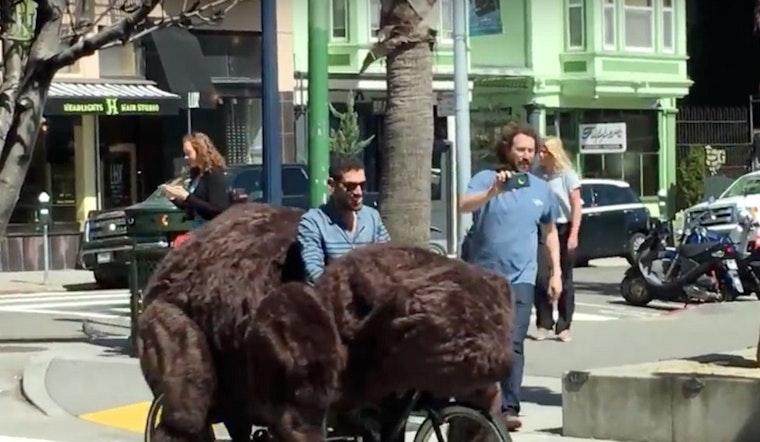 Video: Bear Tricycle Causes Grizzly Scene In Hayes Valley