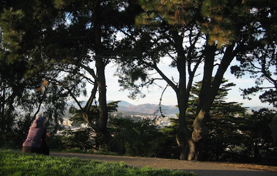 Upper Haight Week: Buena Vista Cleanup, Figure Drawing, The Queen Is Dead And More