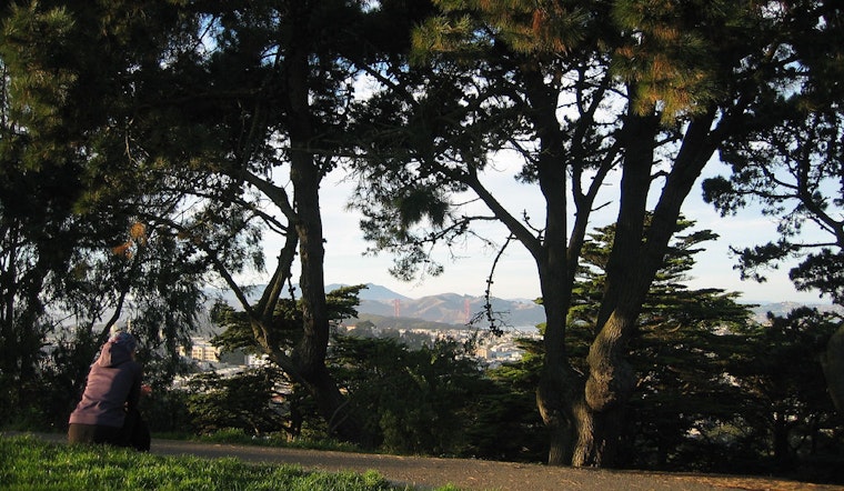 Upper Haight Week: Buena Vista Cleanup, Figure Drawing, The Queen Is Dead And More