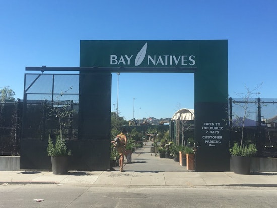 Bay Natives Nursery Energizes The Ecosystem Of Bayview