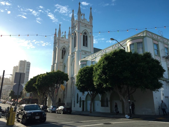 Trees On Vallejo Won't Be Removed For Poets Plaza