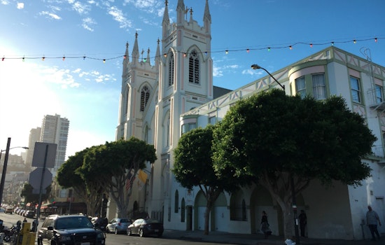 Trees On Vallejo Won't Be Removed For Poets Plaza