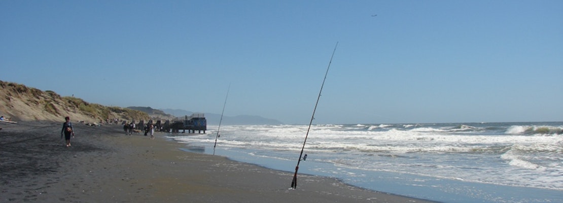 Fishing And Foraging: How To Feed Yourself At Ocean Beach