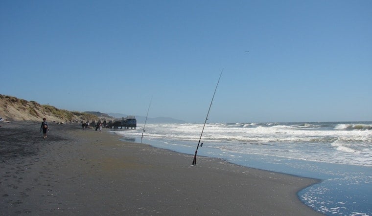 Fishing And Foraging: How To Feed Yourself At Ocean Beach