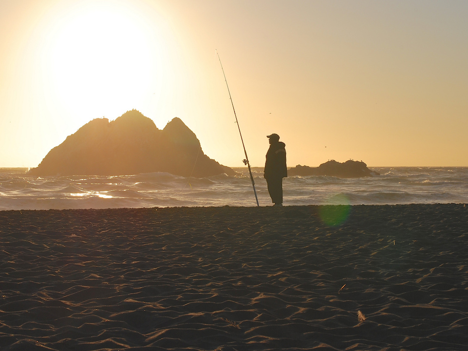 Fishing And Foraging: How To Feed Yourself At Ocean Beach