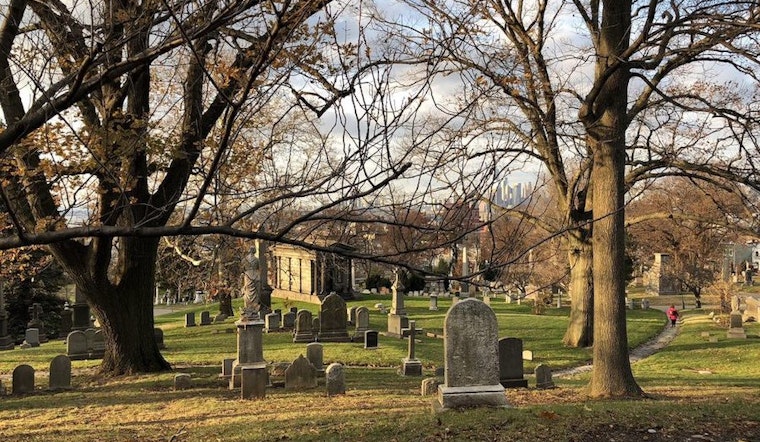 4 great community and culture events in New York City this weekend