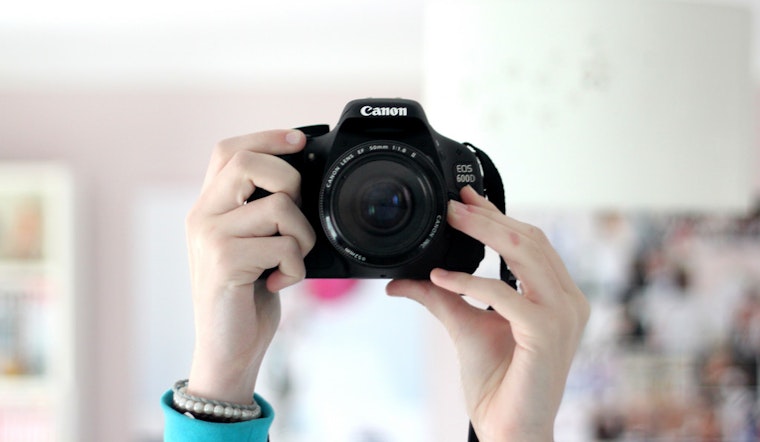 San Francisco business trends: Growth for session photography; lawyers see decline