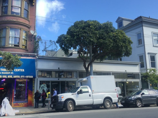 More Than A Third Of Upper Haight's Street Trees Slated For Removal