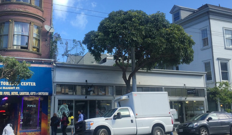 More Than A Third Of Upper Haight's Street Trees Slated For Removal