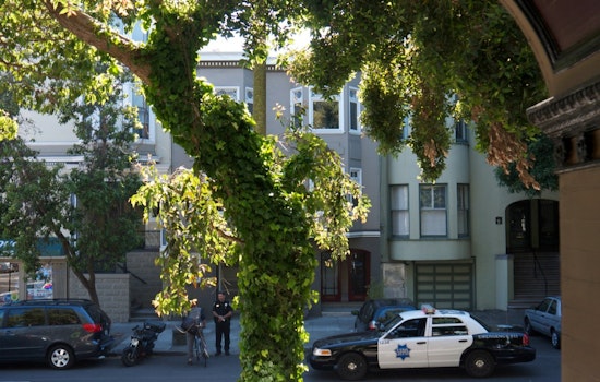 Tonight: Town Hall Meeting On Duboce Triangle Crime And Quality Of Life